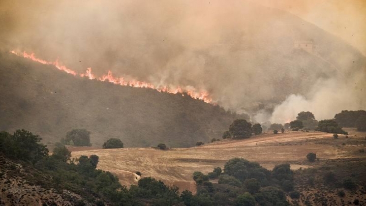 Incêndios florestais aumentam na Espanha e em Portugal neste verão