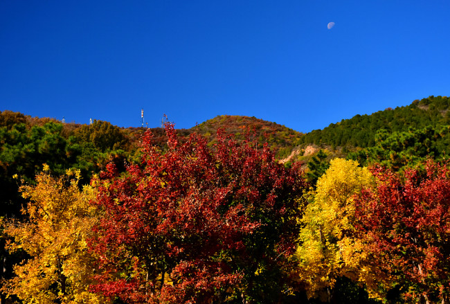 Muntele Xishan, îmbrăcat în frunze roșii