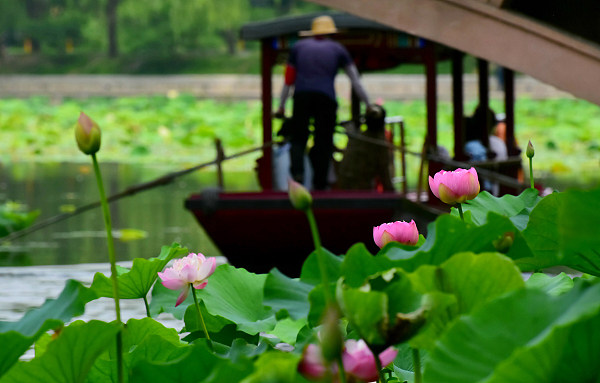 O călătorie cu barca în parcul Bambusul Violet