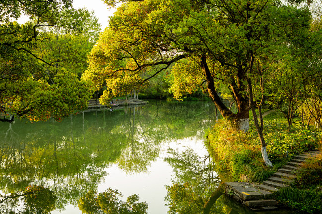 Parcul Național Xixi, model de coexistență armonioasă între om și natură