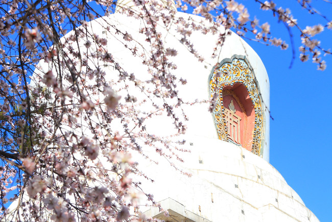 Prolećno cveće cveta u Beihai parku u Pekingu