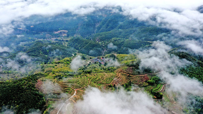 Magla u selu Sijanđu u provinciji Džeđijang