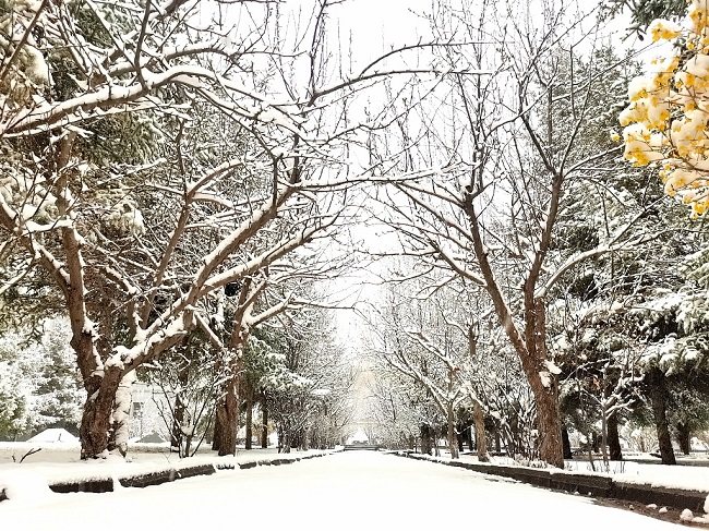 Sneg u gradu Džangje