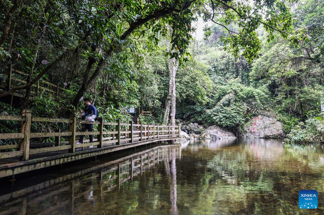 Planina Vudžišan u nacionalnom parku tropske prašume na Hainanu