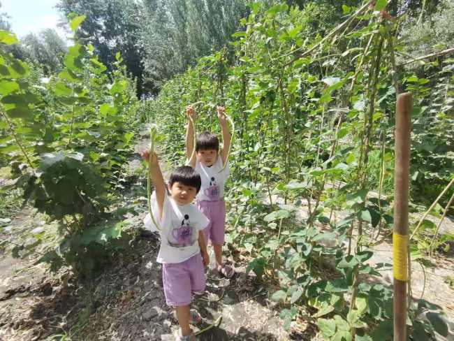 Foto 7: Zelenina z Maovy zeleninové zahrady v létě stačí k uspokojení poptávky strávníků