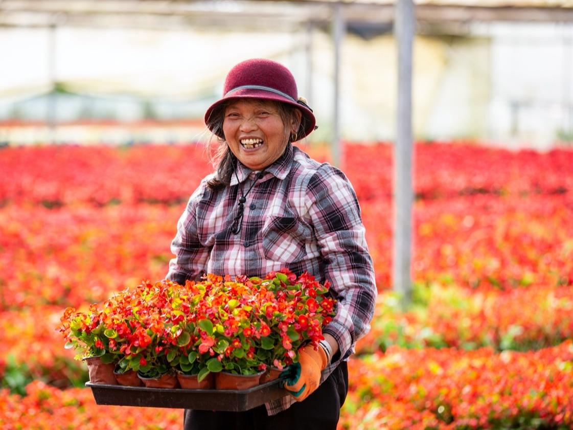 Industri Penanaman Bunga Berkembang di China