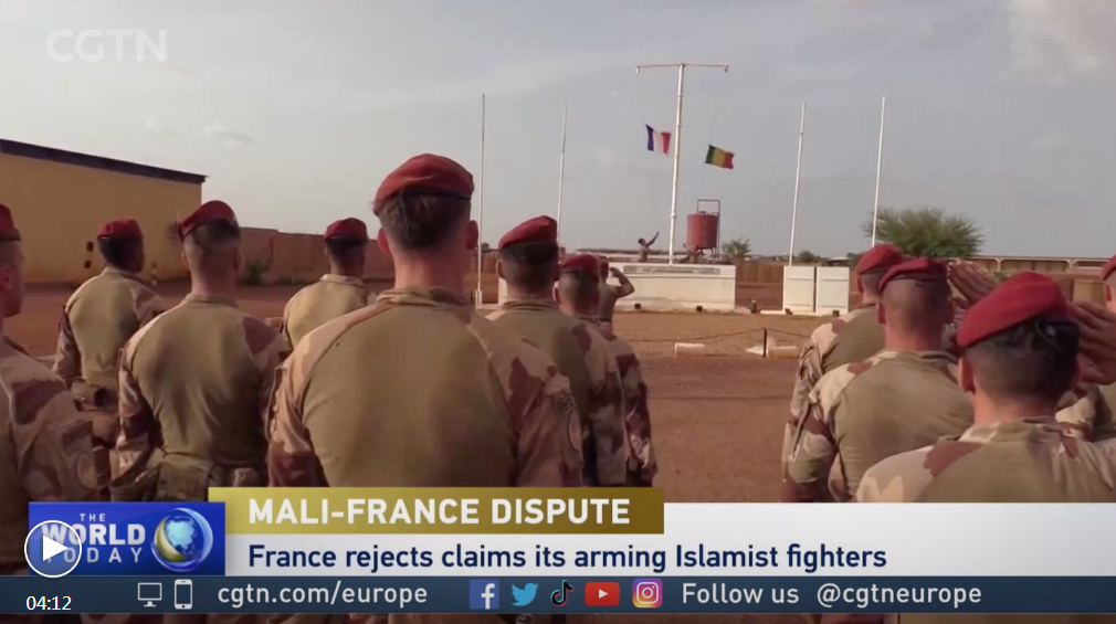 فرانسه اتهام علیه خود مبنی بر مسلح کردن تروریست های مالی را رد کردا
