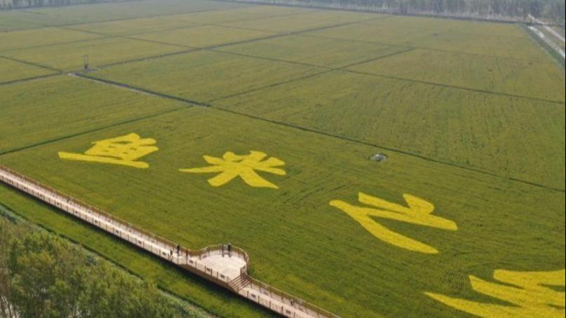 Zon Demonstrasi Pertanian Ekologi Moden di Xiong’an