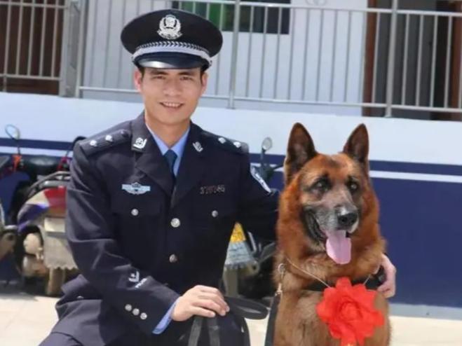 引退した警察犬が「家出」、愛情あふれるまなざしに感動
