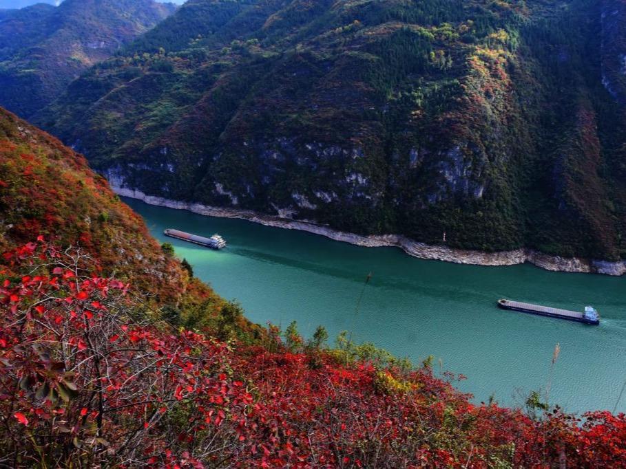 Dedaun Merah Hiasi Tebing Sungai Yangtze