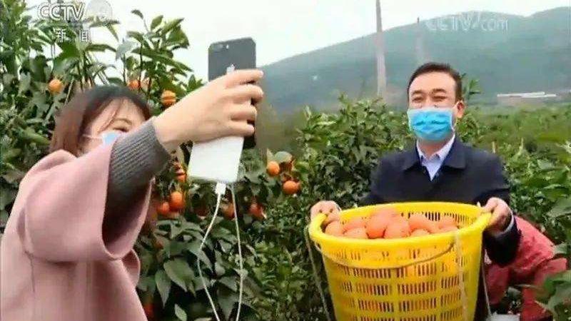 کمک شبکه‌های اجتماعی به درآمدزایی روستایی در چینا
