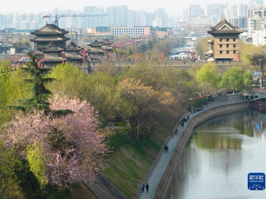 Tembok Kota Dinasti Ming dalam Musim Bunga