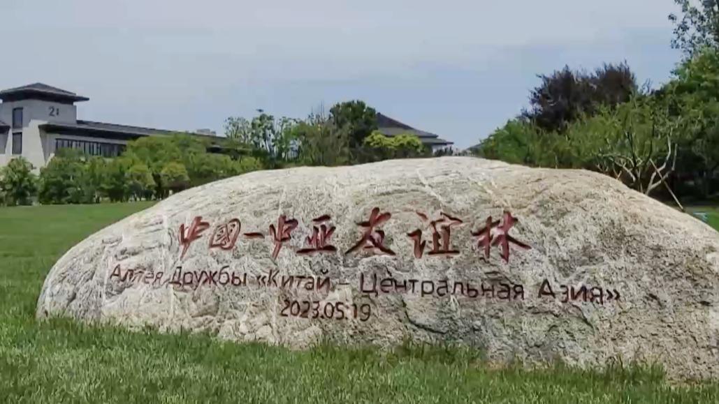 شی جین پینگ همراه با سران پنج کشور آسیای مرکزی شش درخت انار کاشتندا