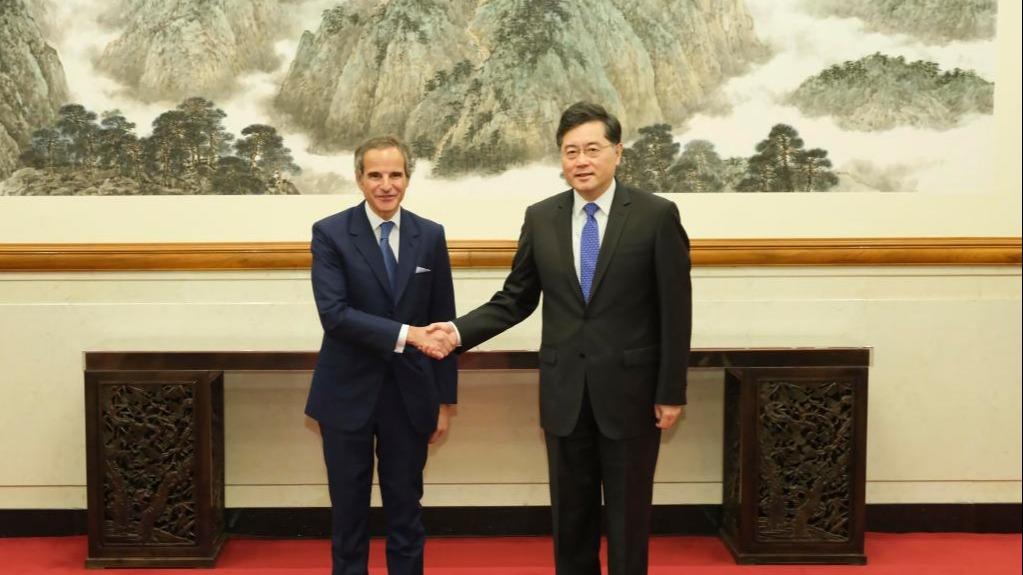 دیدار وزیر خارجه چین با مدیر کل آژانس بین‌المللی انرژی هسته‌ایا