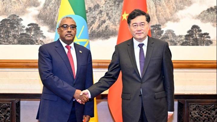 دیدار وزیر خارجه چین و معاون نخست وزیر اتیوپی در پکنا