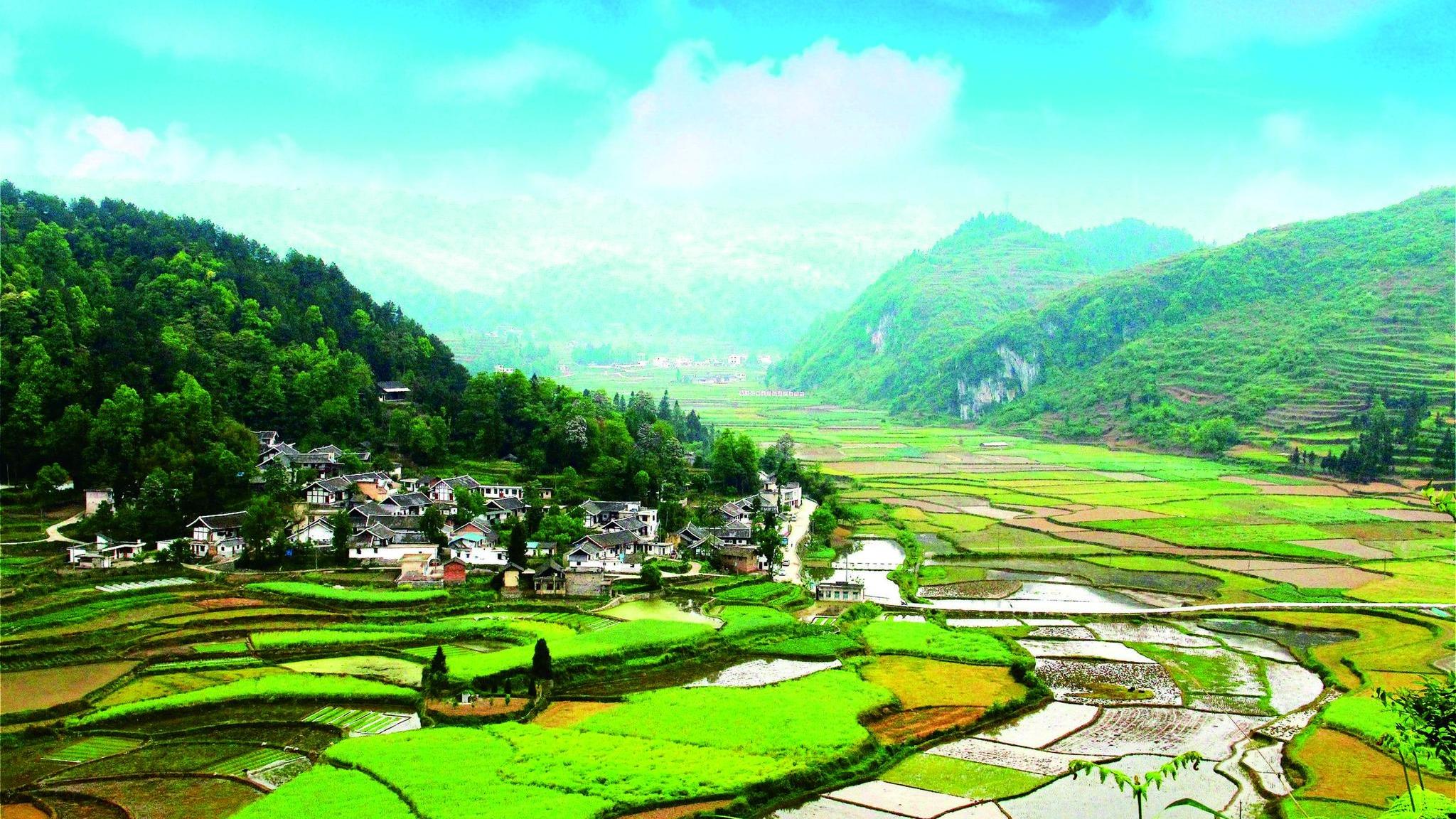 اقدامات بانک کشاورزی چین برای کمک به احیای مناطق روستاییا