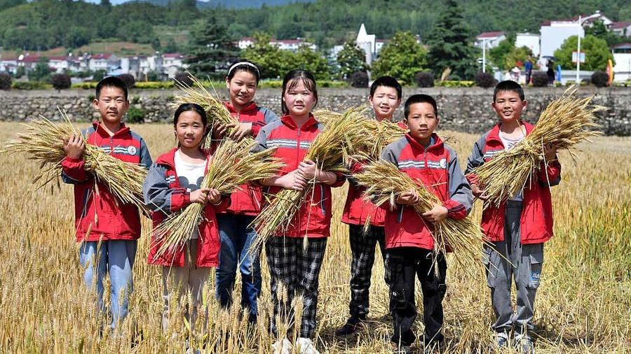 درس کشاورزی دانش آموزان در مرکز چین
