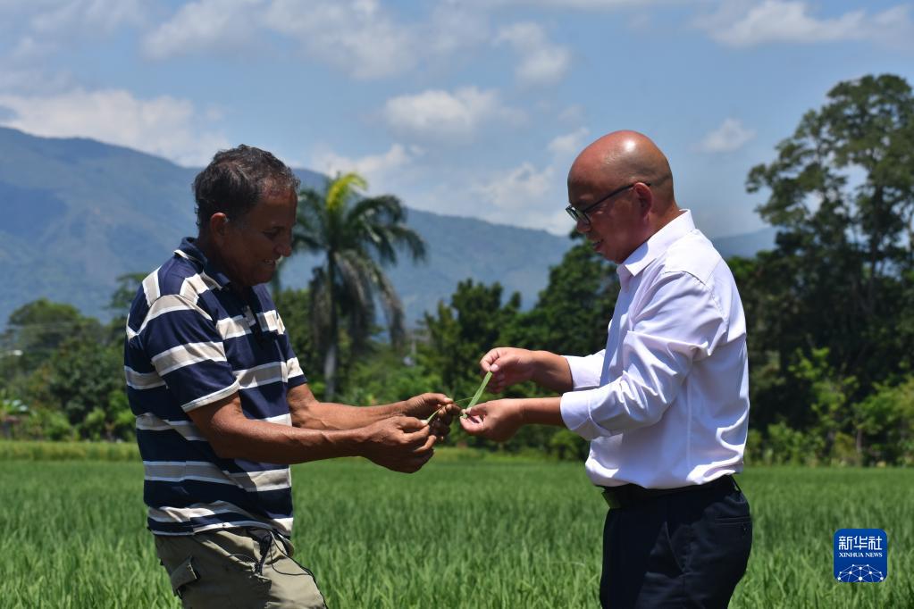 Perkembangan Pertanian Dominica Dipacu Kerjasama China