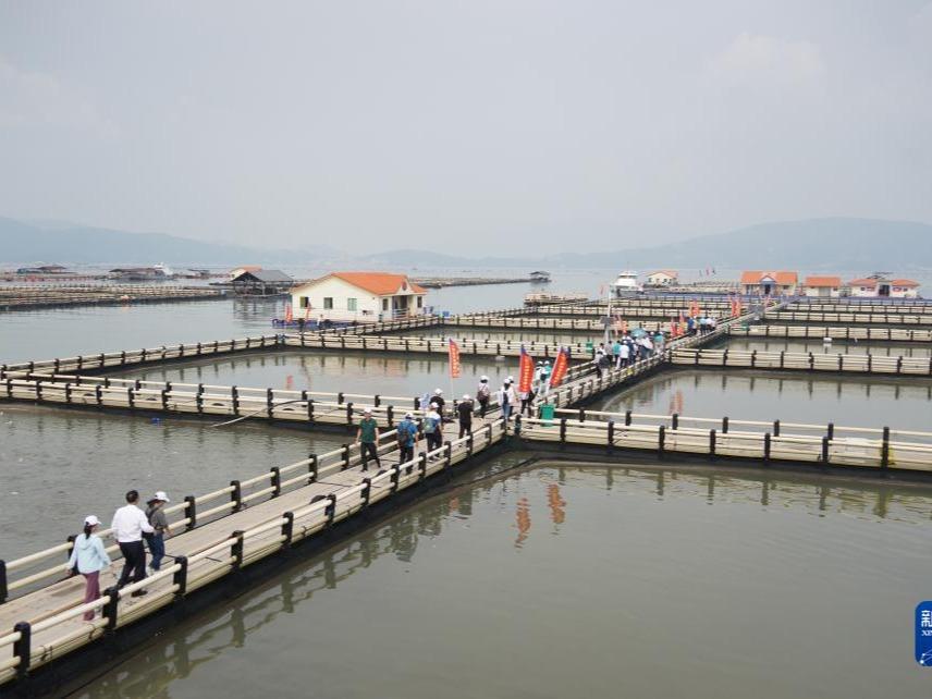 Ningde: Industri Perikanan Berjaya Lonjak Pendapatan Penduduk