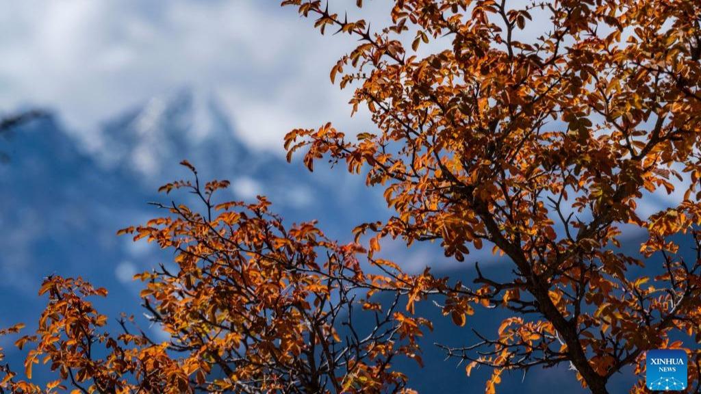 دلربایی پاییزی کوهستان «هونگلا» در تبت به روایت تصاویرا
