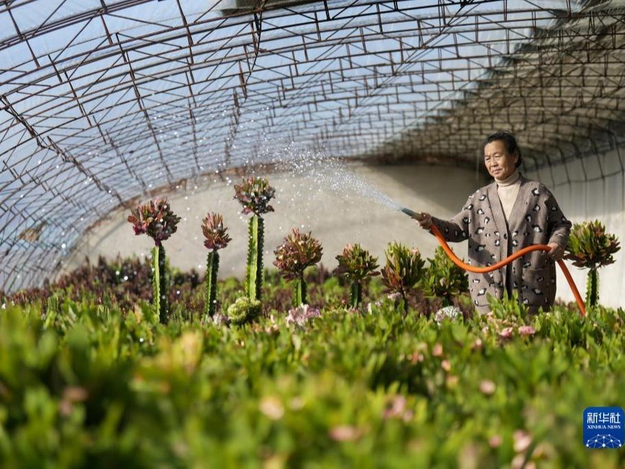 Tanam dan Jual Produk Hortikultur Semasa Musim Sejuk