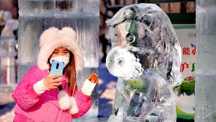 مجسمه های یخی 12 حیوان زودیاک