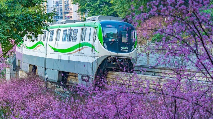 قطارهای مونوریل در چونگ چینگ