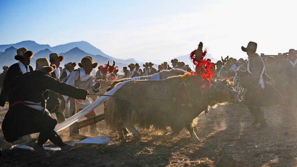 آغاز کشاورزی بهاره در «شی‌زانگ» به روایت تصاویرا