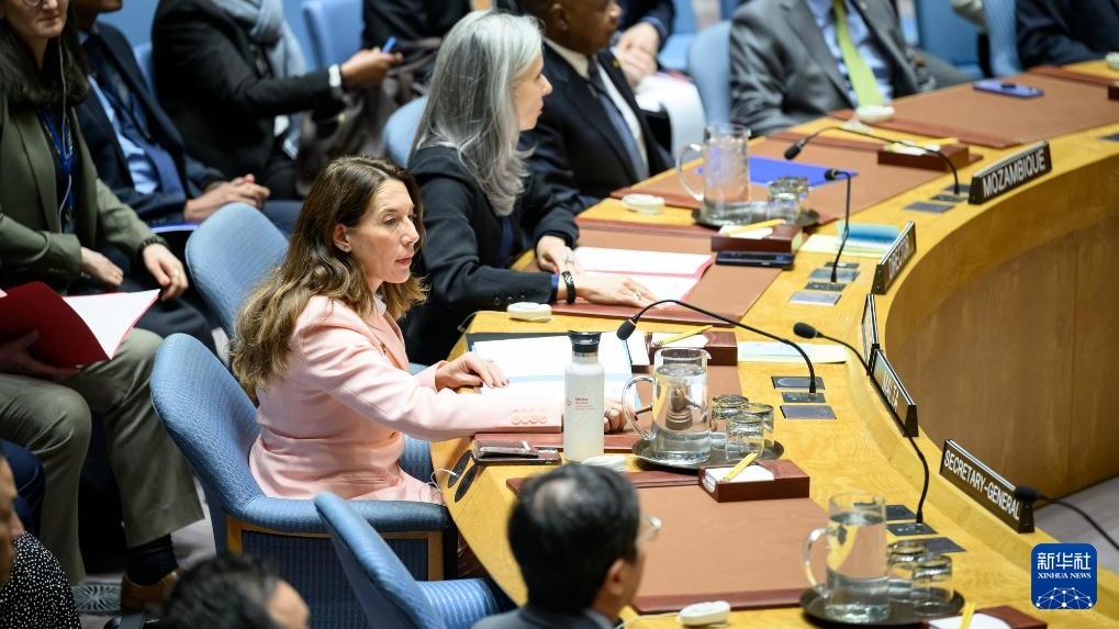 شورای امنیت عضویت کامل فلسطین در سازمان ملل را در ماه جاری میلادی بررسی می‌کندا