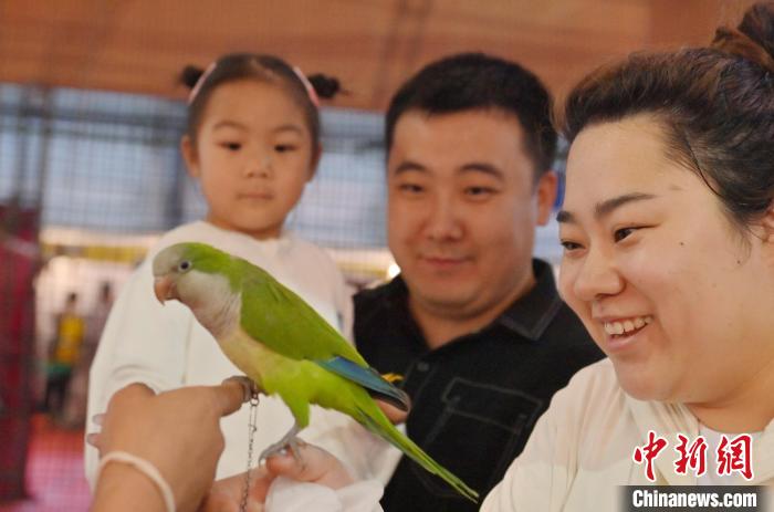 Pameran Haiwan Kesayangan Antarabangsa Diadakan di Changchun