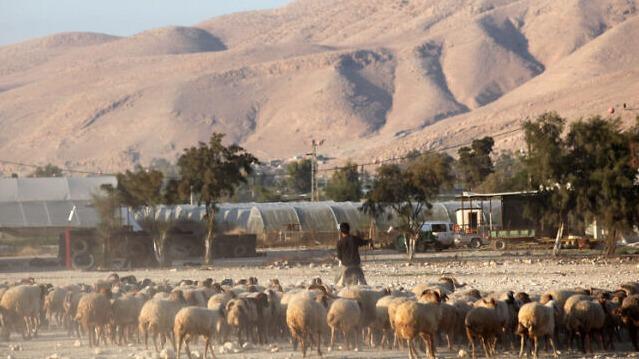 اسرائیل مصادره 12 کیلومتر مربع از اراضی فلسطینیان را اعلام کردا