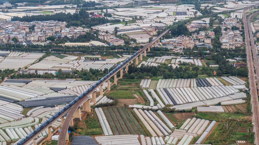 کمک راه آهن چین-لائوس به حمل و نقل میوه و سبزیجات تازها