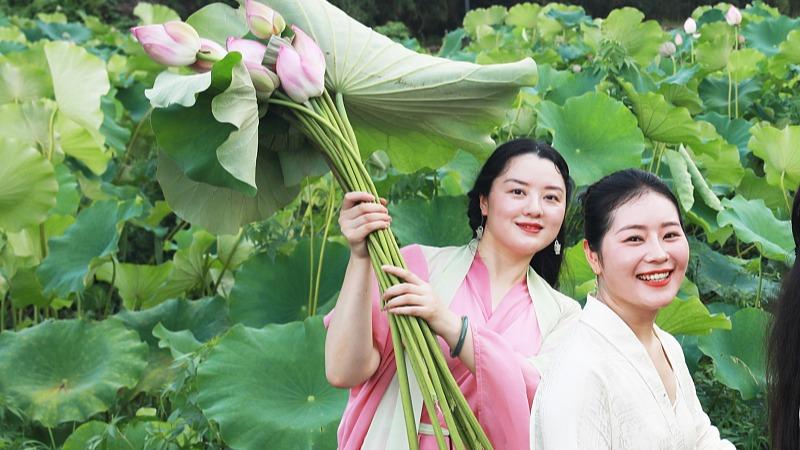 Bunga Teratai Bermekaran di Zhejiang