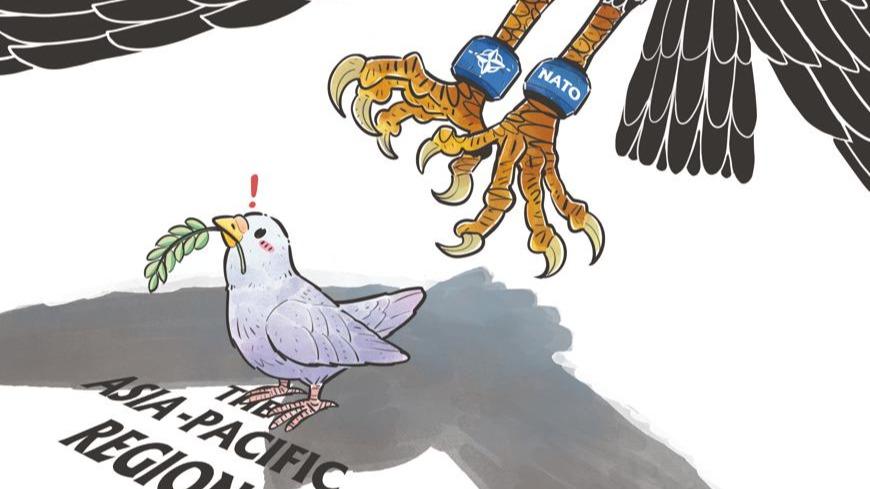کاریکاتور| ناتو؛ تهدیدی برای صلح در آسیا-اقیانوسیه!ا