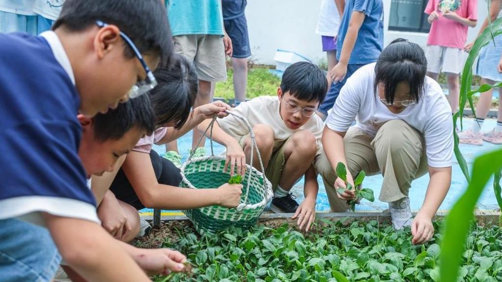 Pelajar Ikuti Program Bercucuk Tanam