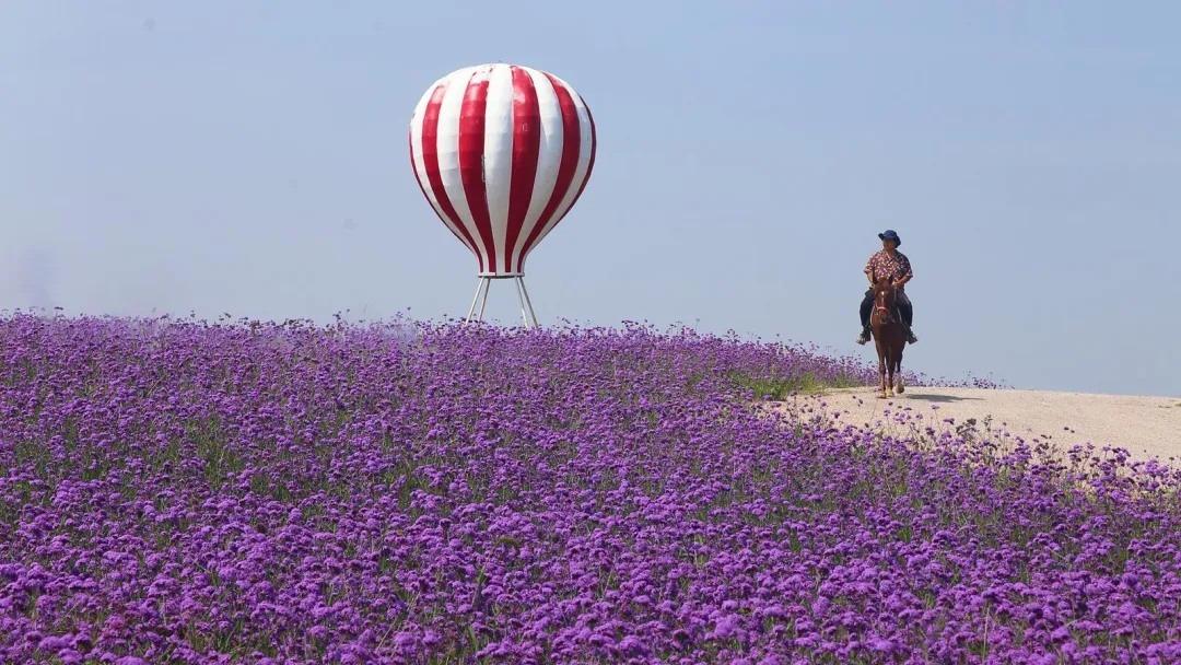 گلستان بیابانی