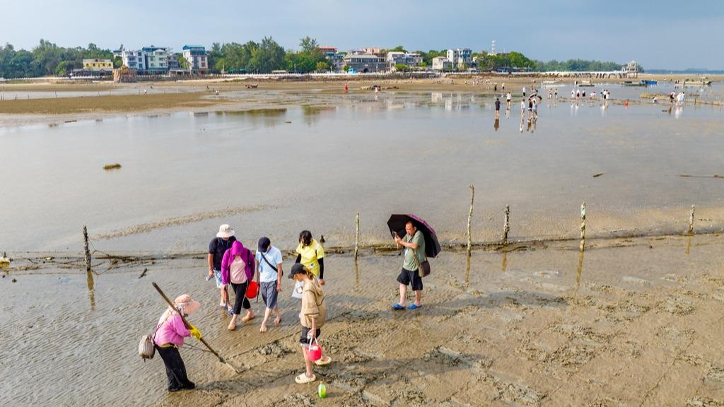 Guangxi: Ana jin dadin samun amfanin gona a rairayin bakin teku