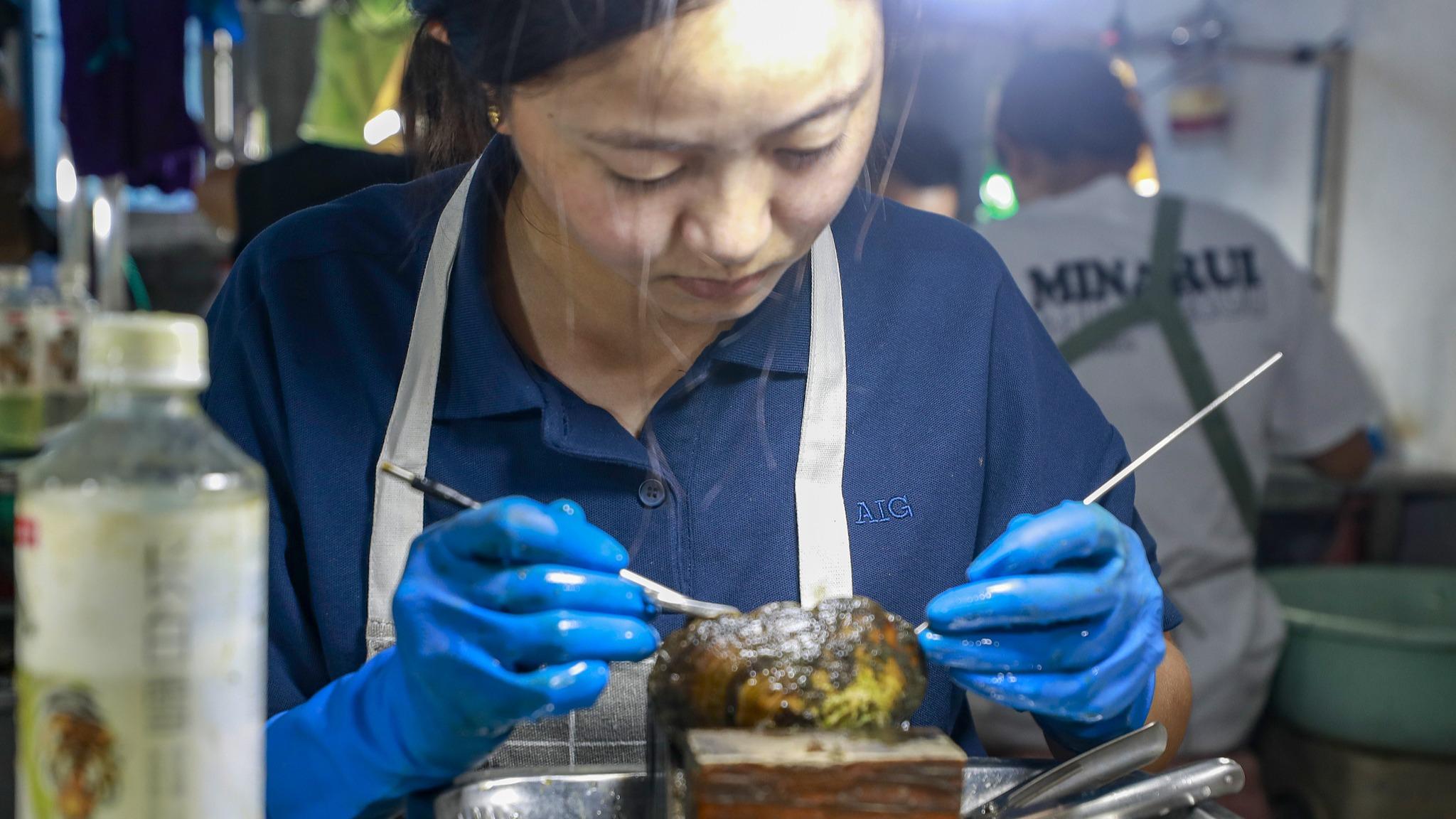 Pemeliharaan Campuran Kerang Mutiara dengan Ikan di Pekan Meihua