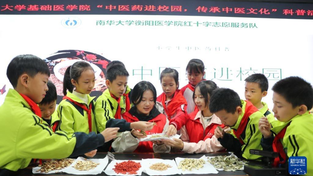 Murid Mendekati Budaya Perubatan Tradisional China