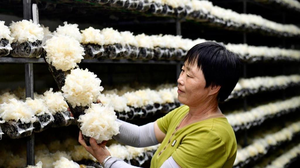 Perkembangan Industri yang Serasi dengan Sumber Tempatan di Huimin