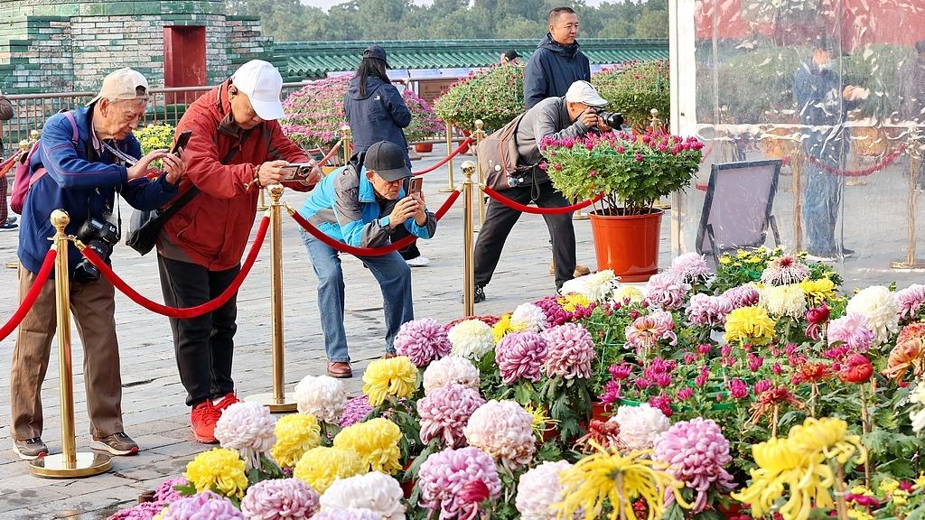 Pameran Bunga Kekwa Gamit Pengunjung