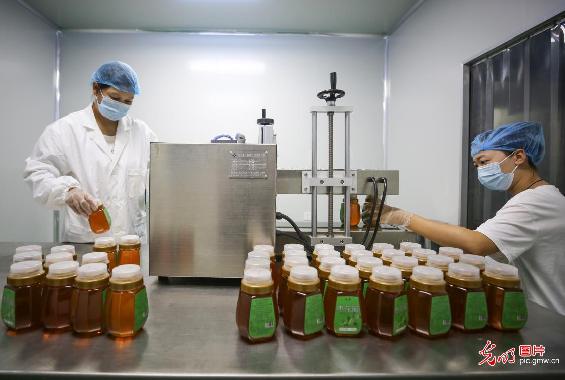 Εργάτες συσκευάζουν μέλι σε εργαστήριο επαγγελματικού μελισσοκομικού συνεταιρισμού της κομητείας Λιντσένγκ, στην πόλη Σινγκτάι, της επαρχίας Χεμπέι της βόρειας Κίνας, σε φωτογραφία από τις 31 Ιουλίου 2022.