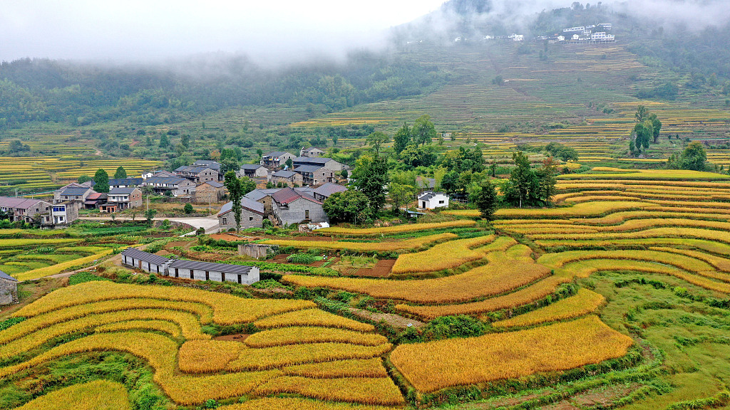 Fshati Yangfengshan, provincë Zhejiang(Foto:VCG)