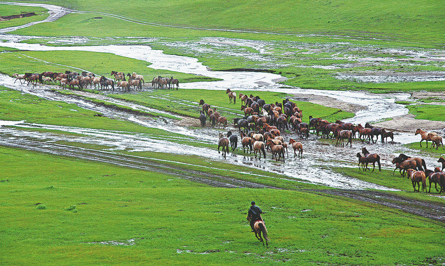 Το Νομαδικό Σύστημα των Λιβαδιών Αρ Χορτσίν στην αυτόνομη περιοχή της Εσωτερικής Μογγολίας, το οποίο έχει εγγραφεί στον κατάλογο των Παγκοσμίως Σημαντικών Συστημάτων Αγροτικής Κληρονομιάς από τον Οργανισμό Τροφίμων και Γεωργίας των Ηνωμένων Εθνών, καταδεικνύει τη σοφία των βοσκών που εργάζονται σε αρμονία με τη φύση. [Η φωτογραφία παρέχεται στην China Daily] 