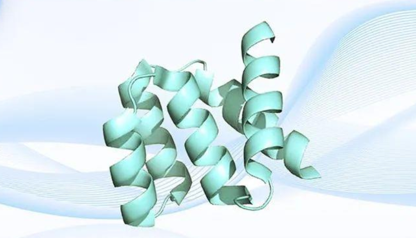 Oamenii de știință chinezi au exploatat o nouă metodă de proiectare a structurii proteinei.