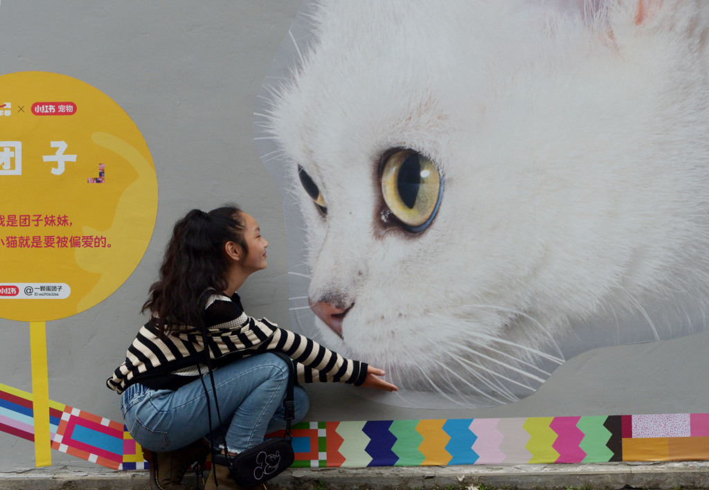 Οι ζωγραφιές του δρόμου με θέμα τις γάτες φωτογραφίζονται σε έναν δρόμο στη Σαγκάη στις 6 Μαΐου 2023. /CFP