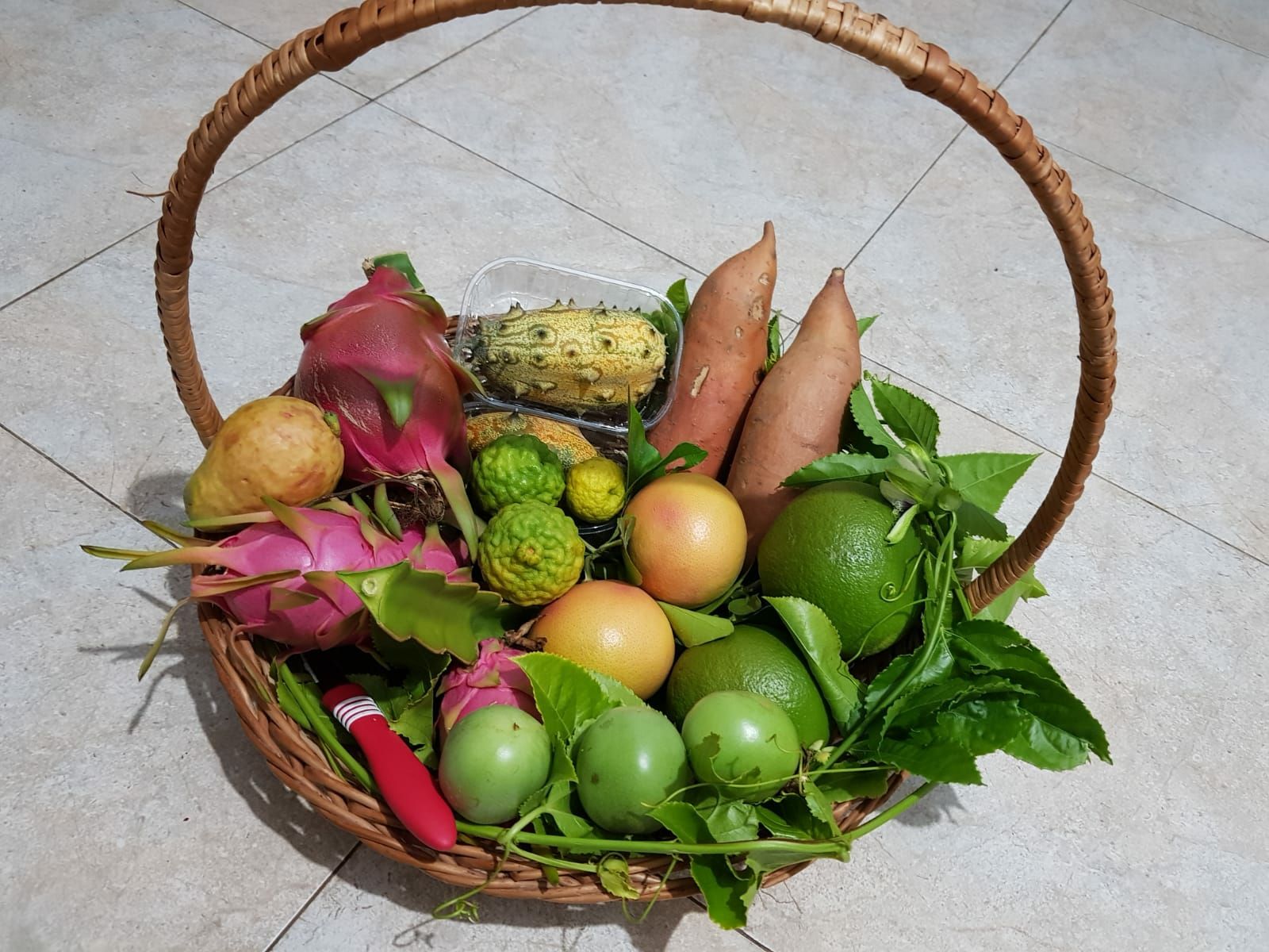 Shport frutash ekzotike kultivuar nga Irakli Shkoza (Foto Linkedin)