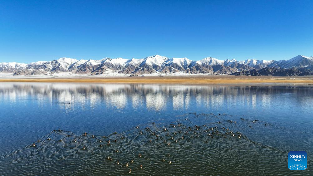 Αυτή η αεροφωτογραφία που τραβήχτηκε στις 18 Οκτωβρίου 2023 δείχνει υδρόβια πουλιά που ξεκουράζονται σε μια λίμνη στο Εθνικό Φυσικό Καταφύγιο των Ορέων Αλτούν στην Αυτόνομη Περιφέρεια Σιντζιάνγκ Ουιγκούρ της βορειοδυτικής Κίνας. (Xinhua/Li Xiang)
