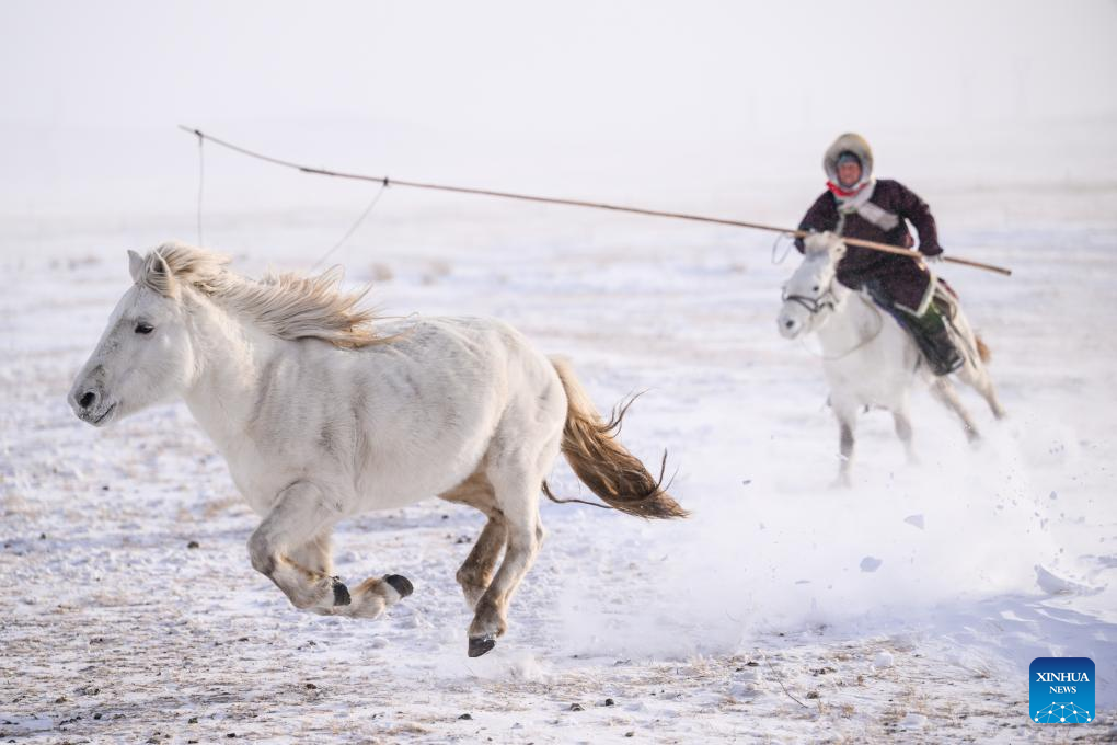 Ιππέας εκπαιδεύει άλογα στο χιονισμένο λιβάδι στο Δυτικό Ουτζιμκίν της Ένωσης Σιλιγκόλ, στην αυτόνομη περιφέρεια της Εσωτερικής Μογγολίας της βόρειας Κίνας, 20 Δεκεμβρίου 2023. Φωτογραφία: Xinhua