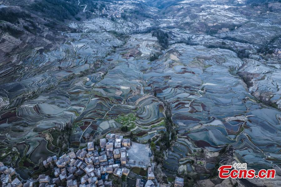 Εντυπωσιακές αεροφωτογραφίες από τα χωράφια που απλώνονται πάνω σε πεζούλες, όπως έχουν αποτυπωθεί στο φακό κατά το λυκόφως, στην αυτόνομη περιοχή της κομητείας Γιουενγιάνγκ των Χονγκ Χάνι και των Γι, που βρίσκεται στην επαρχία Γιουνάν της νοτιοδυτικής Κίνας, στις 19 Φεβρουαρίου 2024. (Φωτογραφία/VCG)